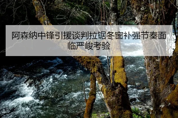 阿森纳中锋引援谈判拉锯冬窗补强节奏面临严峻考验 - LeyuSports