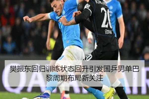 樊振东回归训练状态回升引发国乒男单巴黎周期布局新关注 - LeyuSports