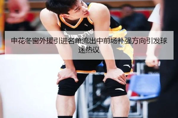 申花冬窗外援引进名单流出中前场补强方向引发球迷热议 - LeyuSports